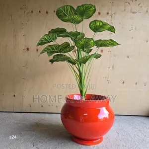 Flower Pots/All Types of Flowers Flower Pots From 150,000/-