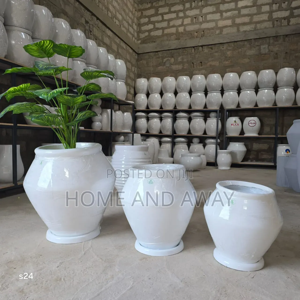 Flower Pots/All Types of Flowers Flower Pots From 150,000/-