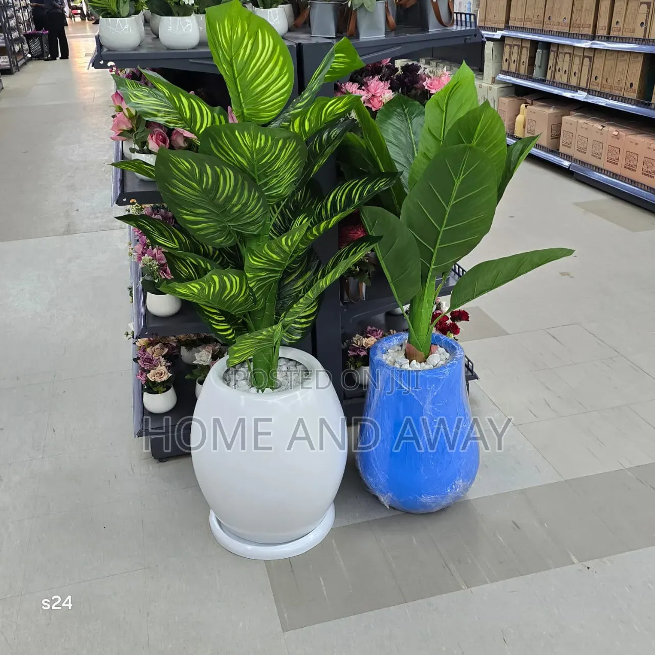 Flower Pots/All Types of Flowers Flower Pots From 150,000/-