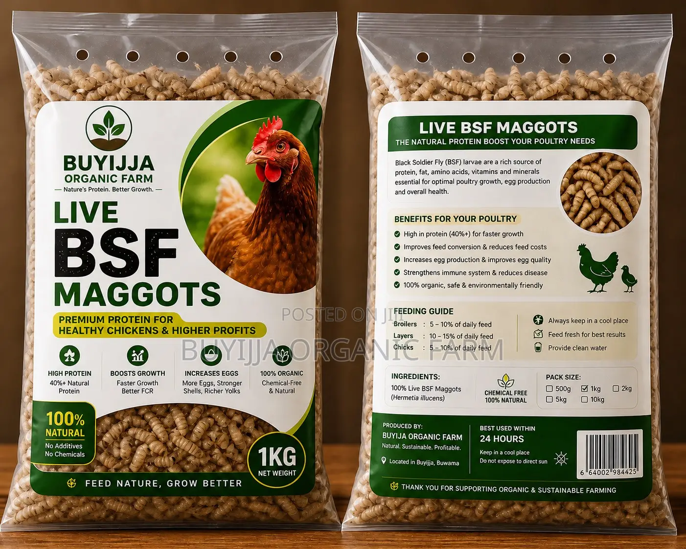 BSF Maggots for Sale – Boost Your Poultry Profits Naturally!