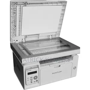 Multifunctional Laser Pantum W6509nw Printer