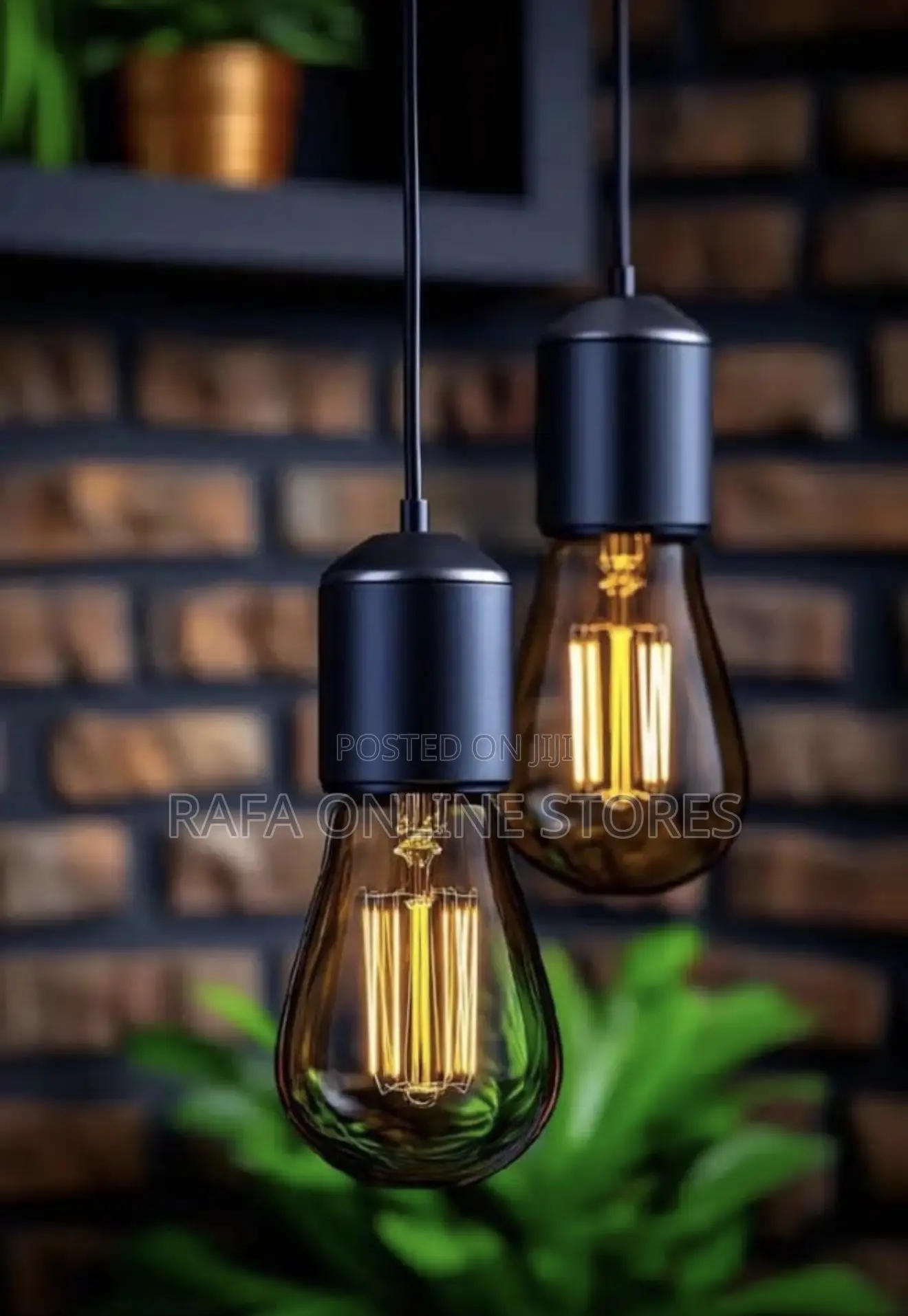 Led Filament Bulbs With Holders