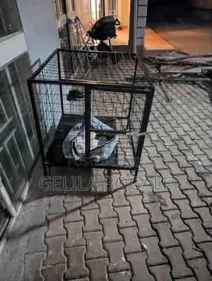 Dog Crate / Dog Cage