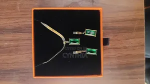 Set of Necklace and Earings