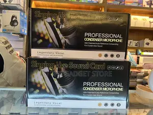 Professional Condenser Microphone