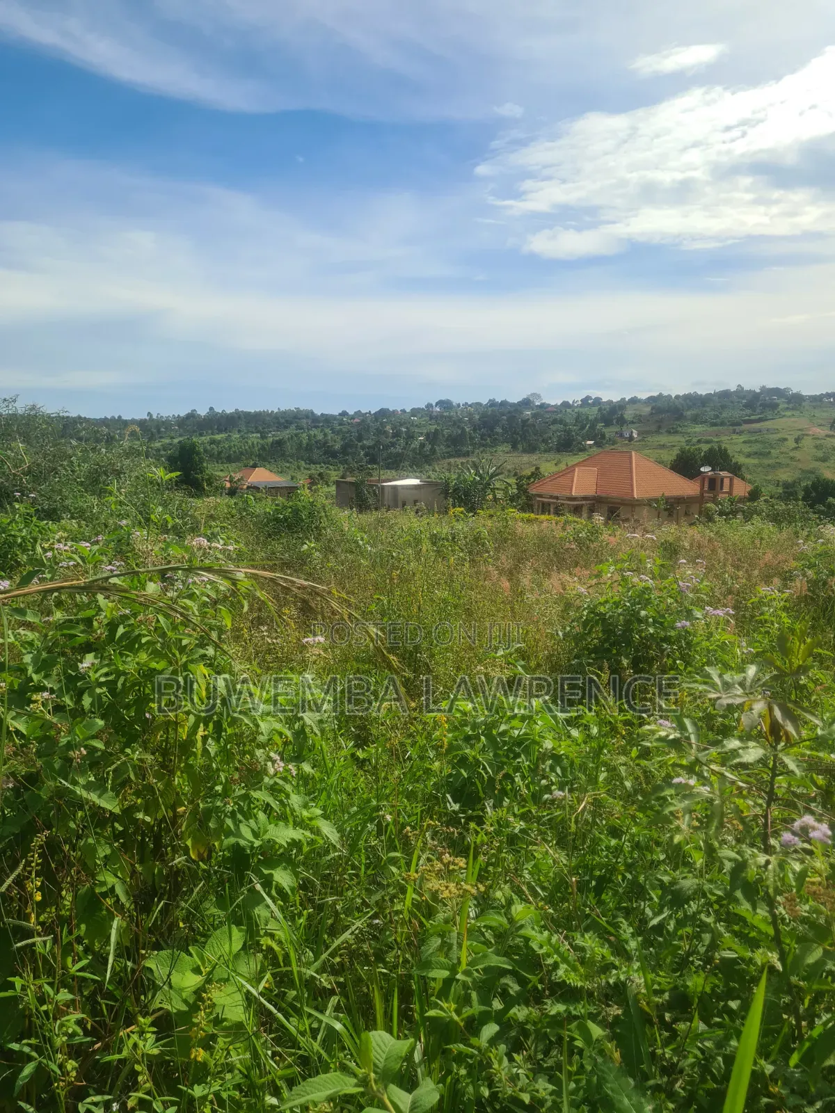 Land for Sale at Kasanje Nakawuka Road 50x100