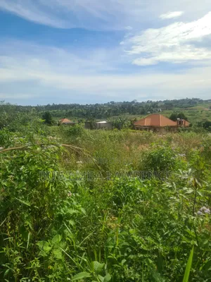 Land for Sale at Kasanje Nakawuka Road 50x100