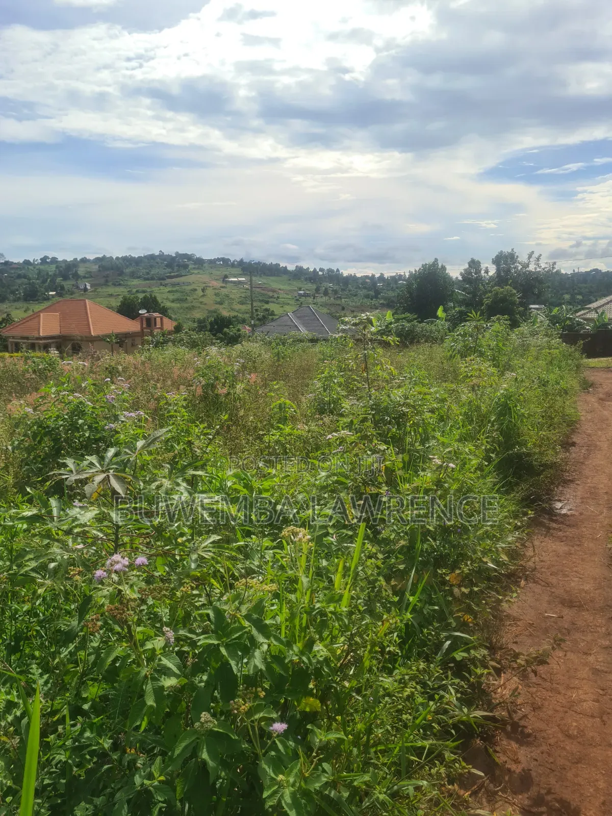 Land for Sale at Kasanje Nakawuka Road 50x100