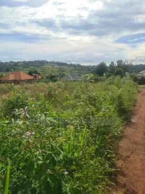Land for Sale at Kasanje Nakawuka Road 50x100