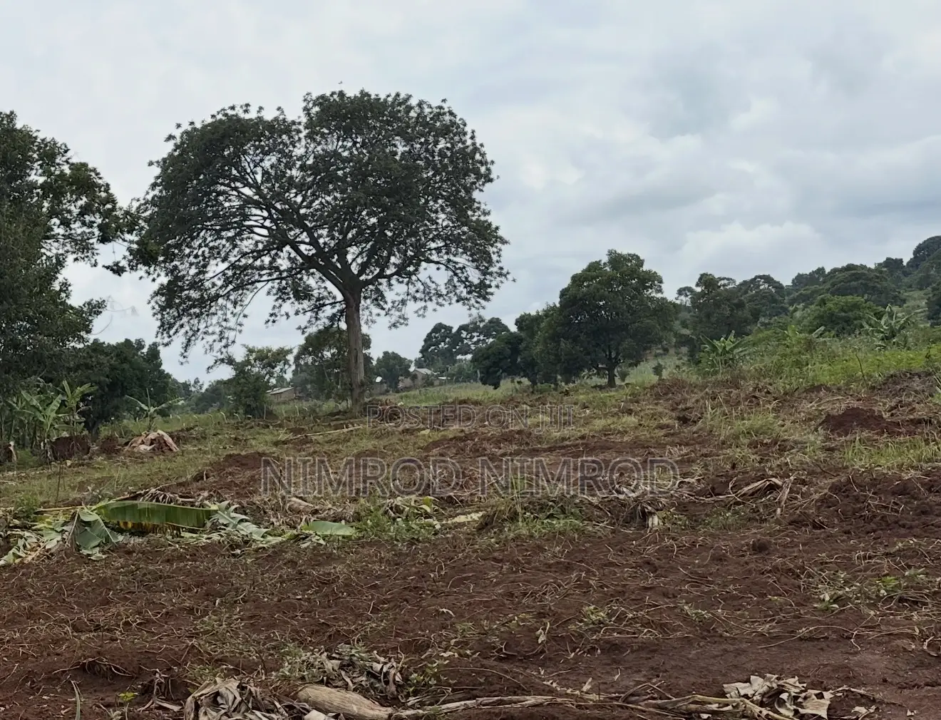 Plots for Sale (50 by 100)