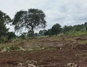Plots for Sale (50 by 100)