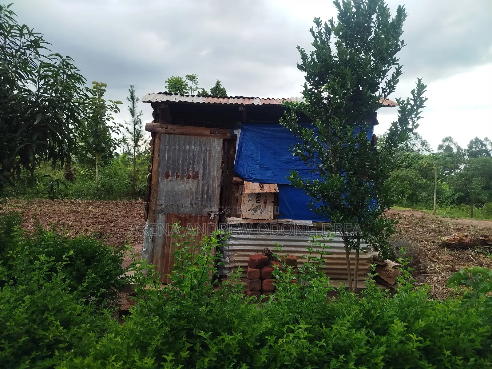 Furnished 1bdrm House in Gulu for sale