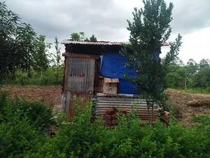 Furnished 1bdrm House in Gulu for sale
