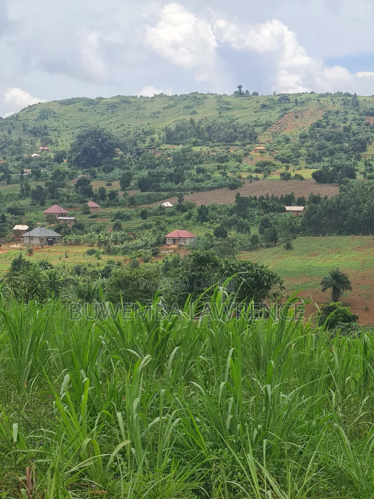 Land for Sale at Buloba Mityana Rd 50x100
