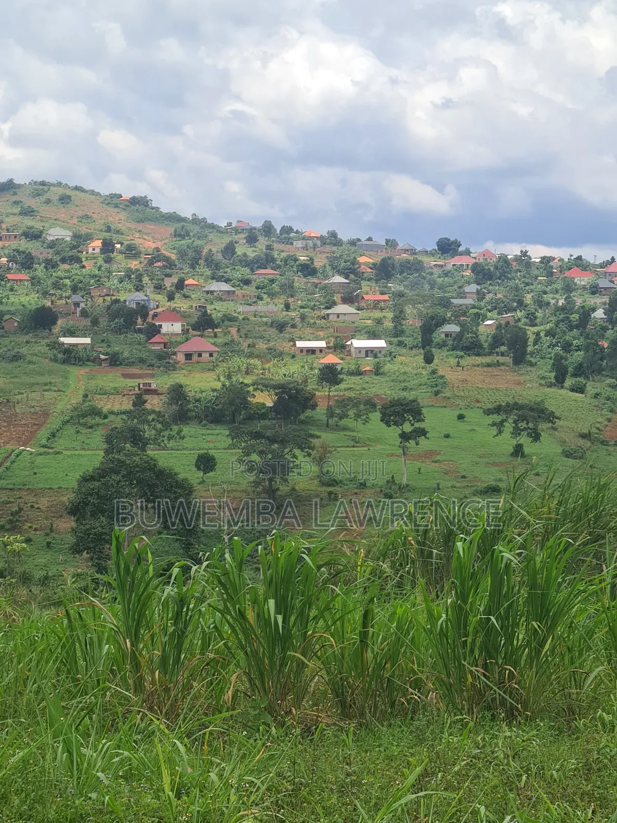 Land for Sale at Buloba Mityana Rd 50x100