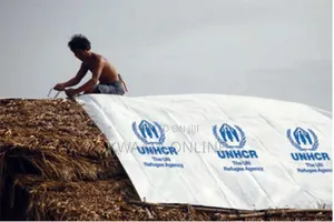 Un (4x5m) Tarpaulin Sheets Virgin, Uv Treated,Heavy Duty Silver/Blue