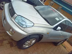 Toyota RAV4 2002 Silver
