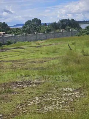 15 Decimals for Sale in Namulanda