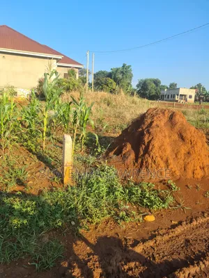 Land for Sale at Kakiri Hoima Road 50x100