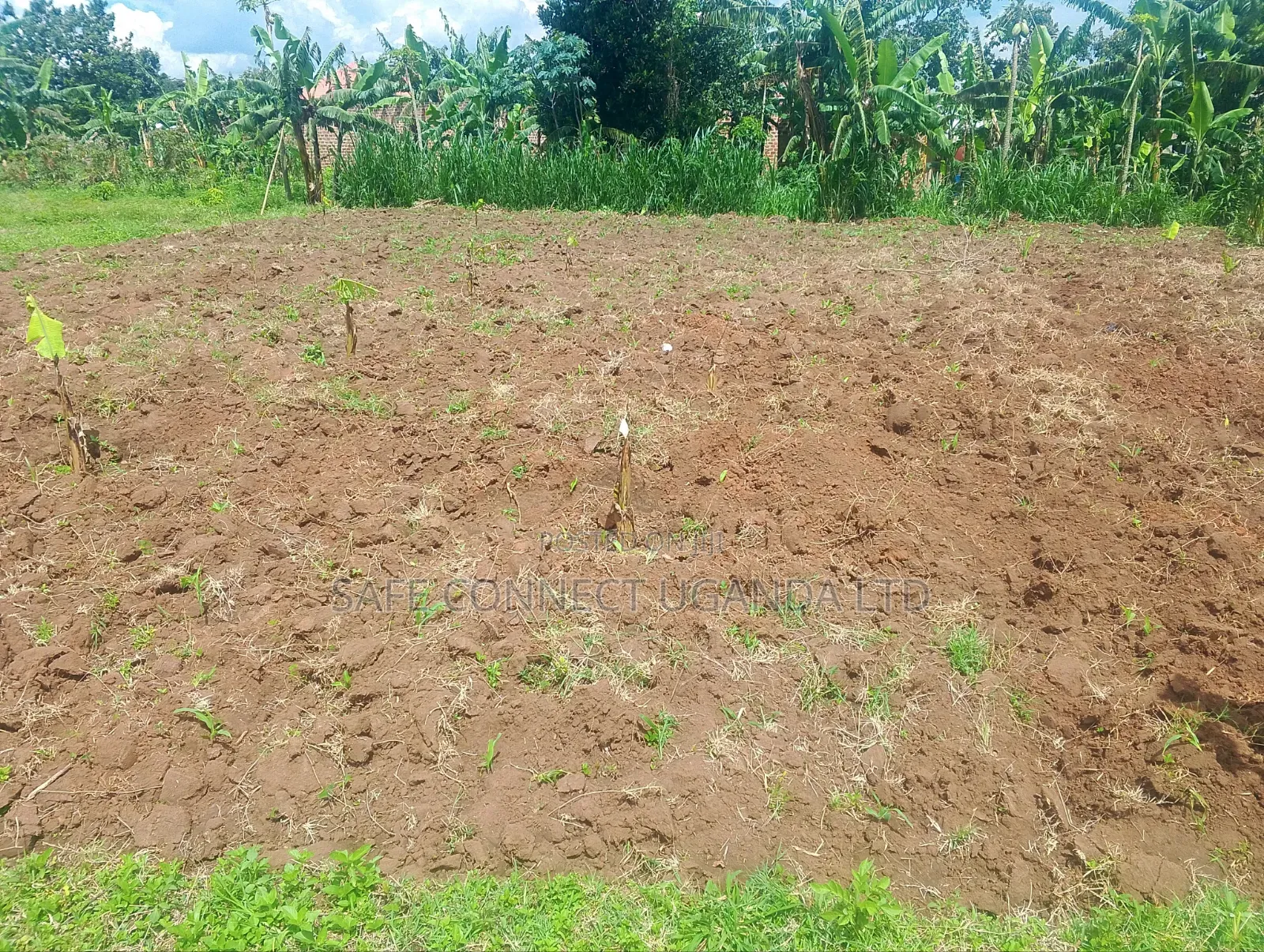 Titled Plots 50x100 Feet