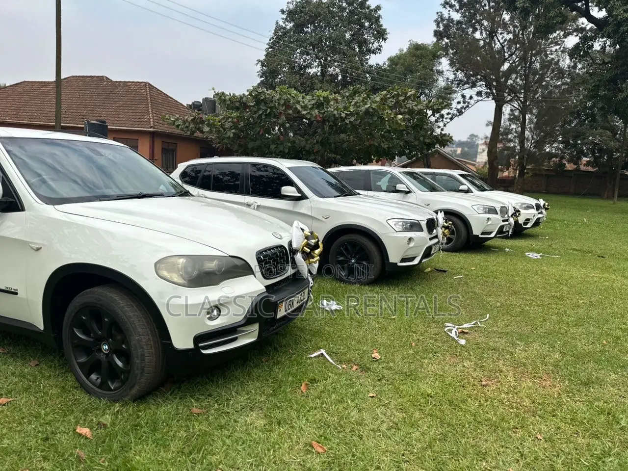 Executive BMW Cars Available for Hire.