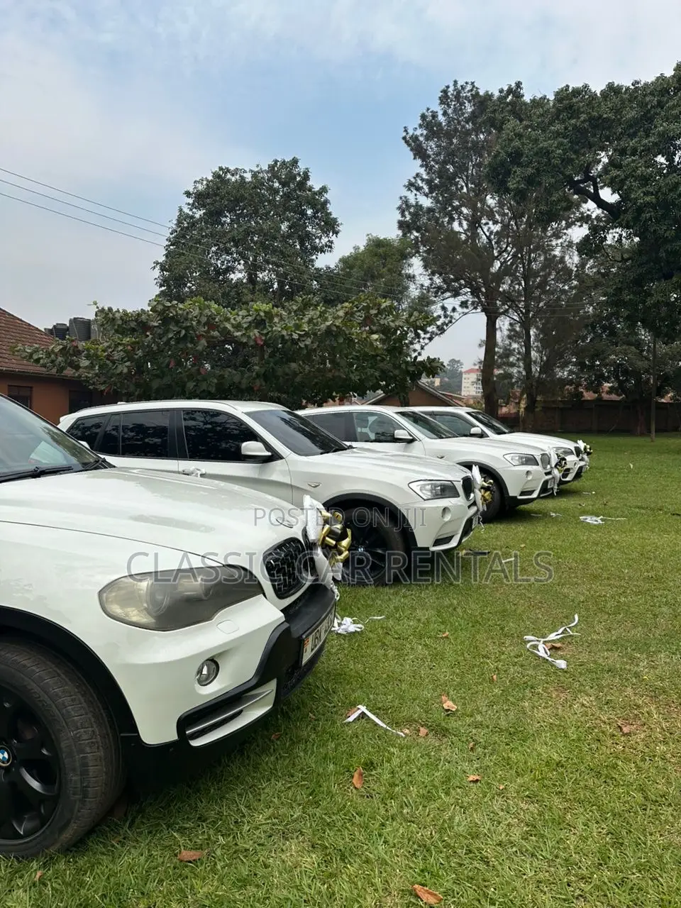 Executive BMW Cars Available for Hire.
