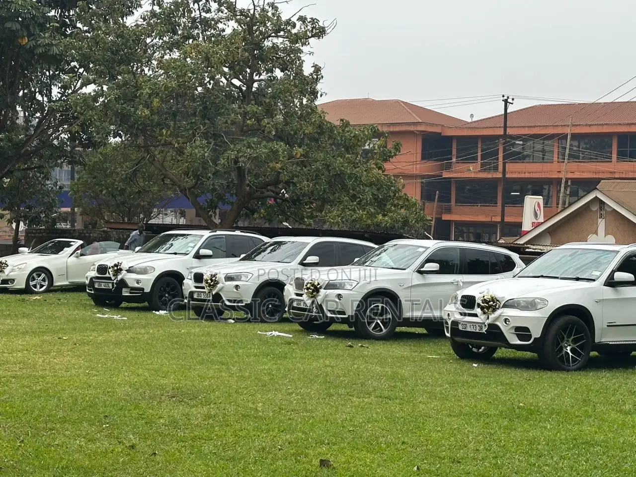 Executive BMW Cars Available for Hire.