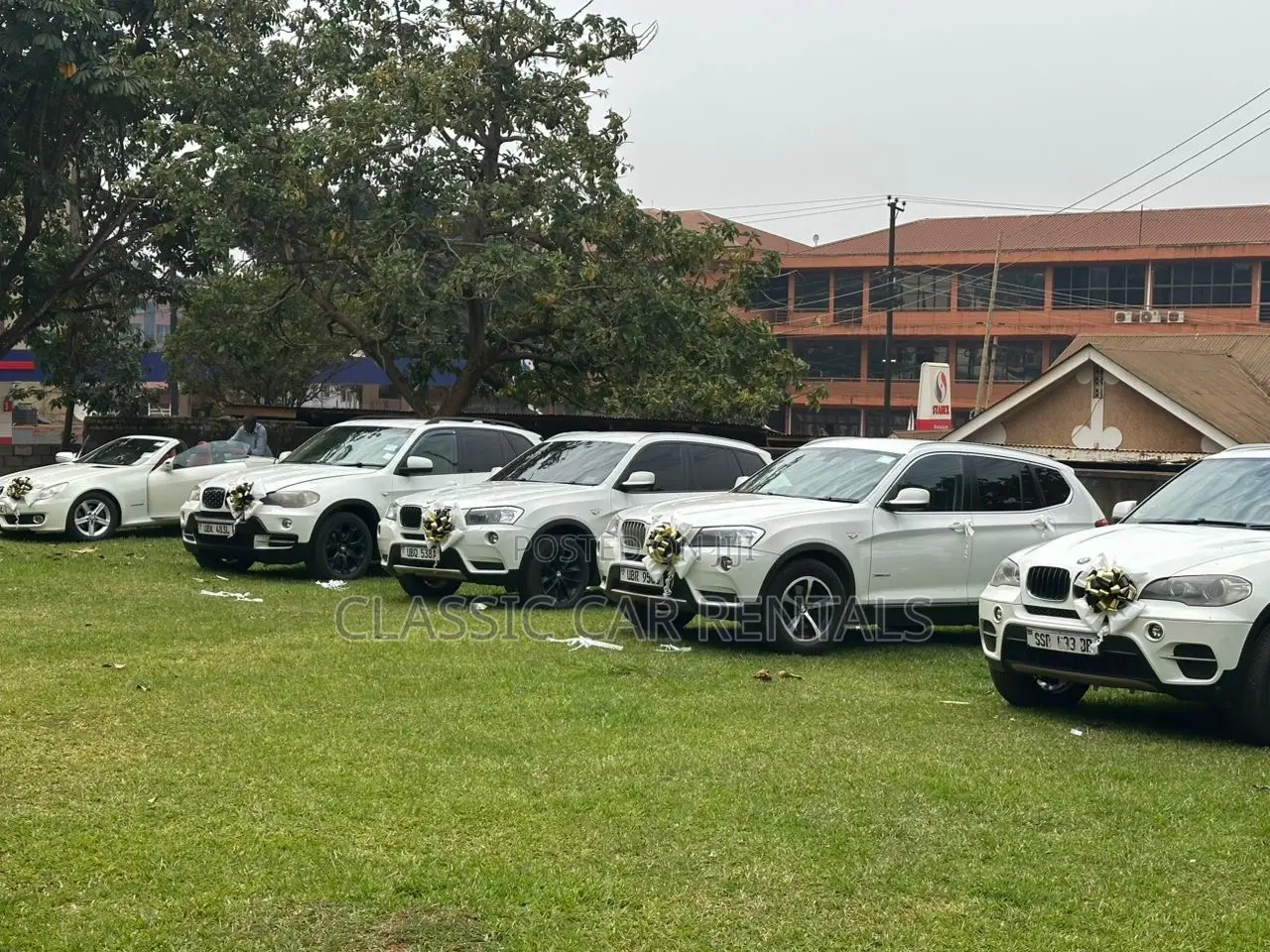 Executive BMW Cars Available for Hire.