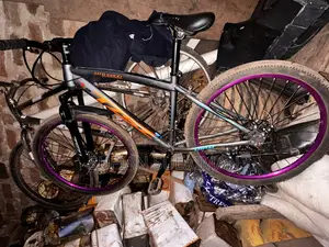 26 Bicycle
