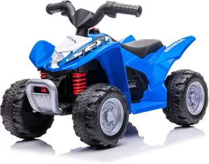 Kids Ride on Cars 4-Wheelers Quad Bike Motorized Cars