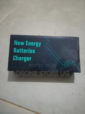 Electric Bicycles Repair Services and New Chargers