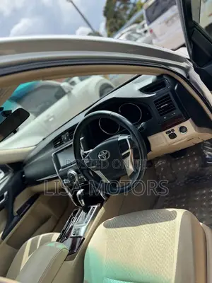 Toyota Mark X 2010 Silver