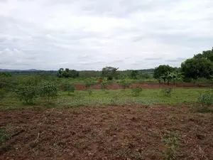 Land for Sell in Namugongo