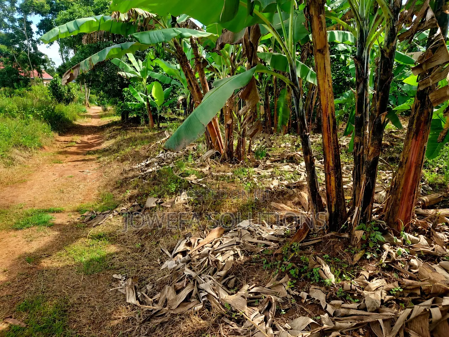House And Plot For Sale In Namaliga, Nakifuuma.
