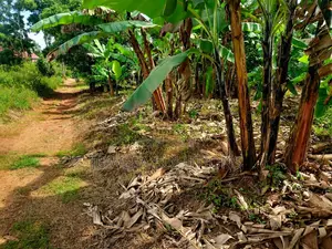 House And Plot For Sale In Namaliga, Nakifuuma.