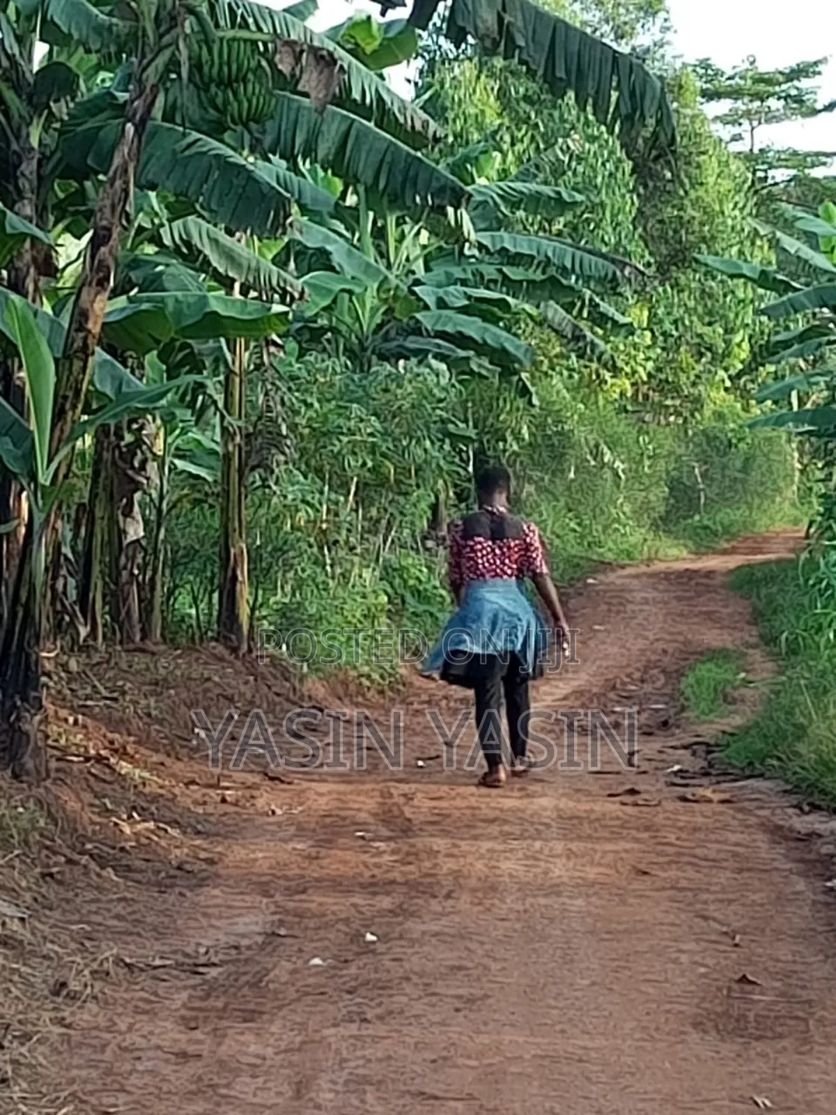 50*100ft Plot on Sale Located at Mende Wakiso Only 5km Off Tarmac.