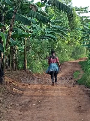 50*100ft Plot on Sale Located at Mende Wakiso Only 5km Off Tarmac.