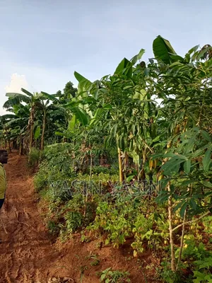 50*100ft Plot on Sale Located at Mende Wakiso Only 5km Off Tarmac.
