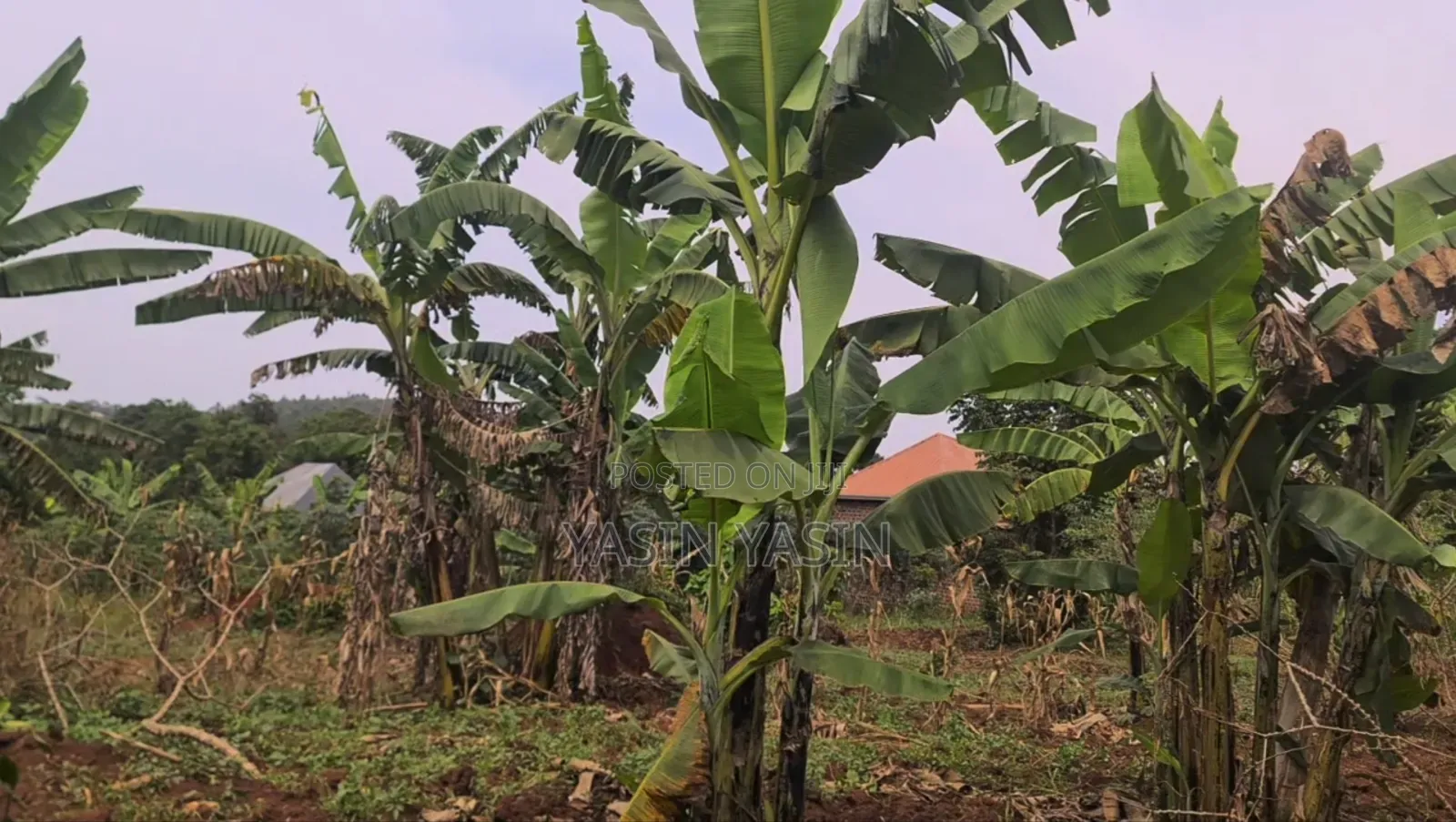 50*100ft on Sale Located at Gimbo Wakiso Only 3km Off Tarmac