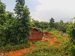 50*100ft on Sale Located at Gimbo Wakiso Only 3km Off Tarmac