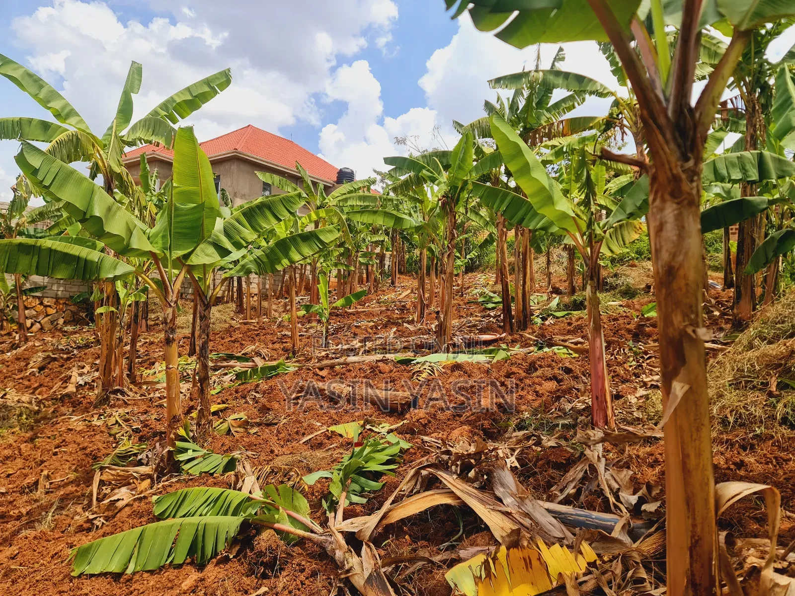 50*100ft on Sale at Kyebando Off Sentema Road