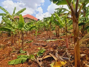 50*100ft on Sale at Kyebando Off Sentema Road