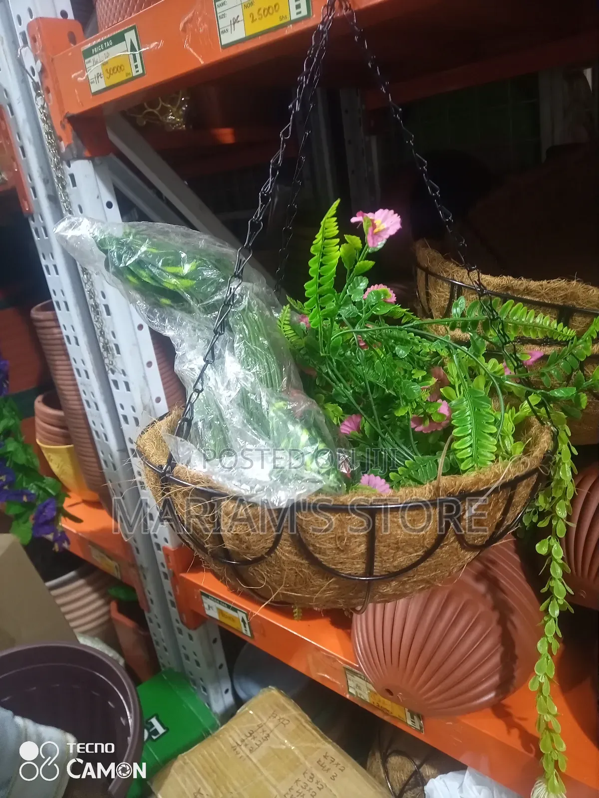 Hanging Basket Planters in Coconut Coir Liners, Metal Chains