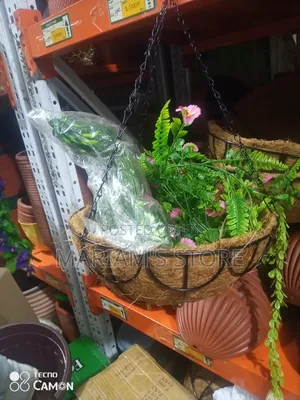 Hanging Basket Planters in Coconut Coir Liners, Metal Chains