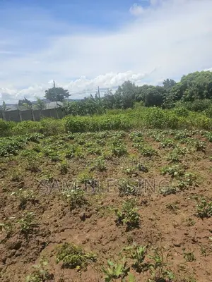 40 Decimals for Sale in Bweya After Kajjansi Entebbe Road
