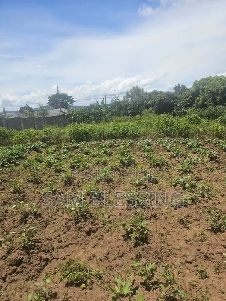 40 Decimals for Sale in Bweya After Kajjansi Entebbe Road