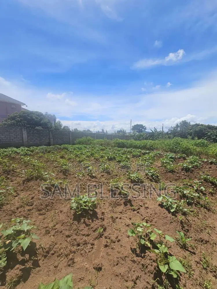 40 Decimals for Sale in Bweya After Kajjansi Entebbe Road