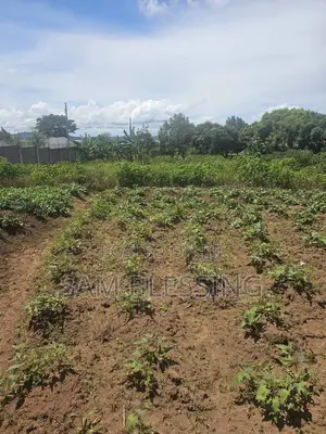 40 Decimals for Sale in Bweya After Kajjansi Entebbe Road