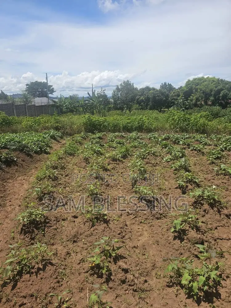 40 Decimals for Sale in Bweya After Kajjansi Entebbe Road