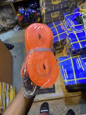 Cargo Belt